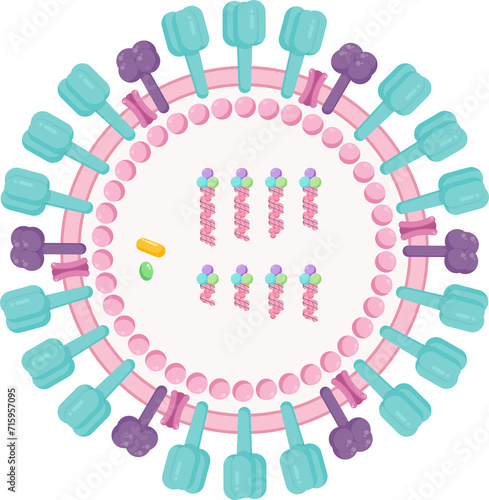 Influenza A virus IAV science graphic