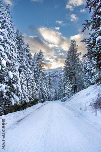 Snow-covered road in the forest - Methow Valley, Washington, USA (Winter) © Nate Hovee