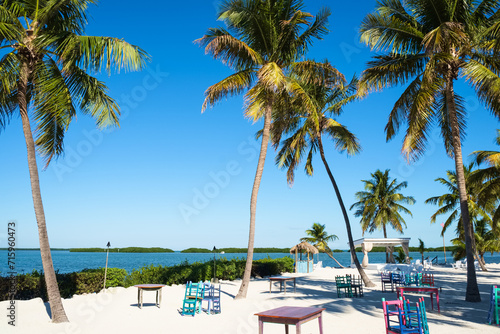 Florida Keys Island Paradise photo
