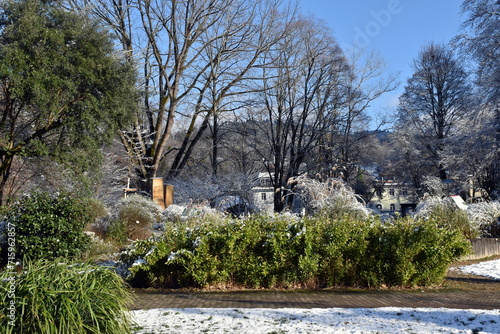 Winter im Botanischen Garten in Freiburg photo