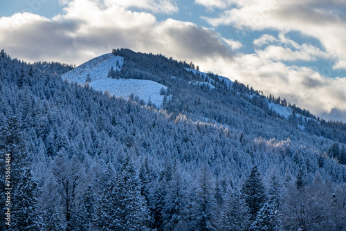 Snow-covered hills and forest along the Twisp River in the Methow Valley, Washington, USA photo