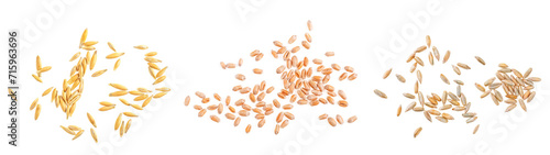 Grains collection: rye, wheat, and oat isolated on a white background. Top view. photo