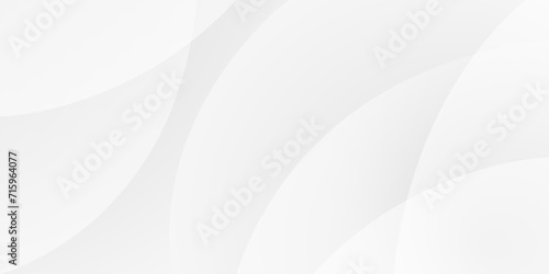 Abstract white and gray curve background design. texture white pattern. vector illustration