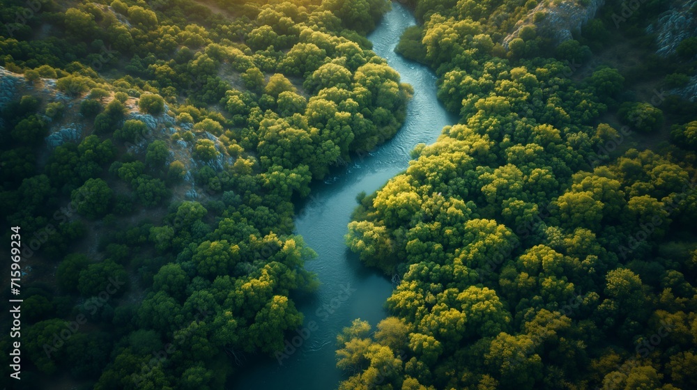 Drone's Eye View Drone's Eye View