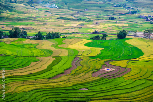 Rice ladder fields in Mu Cang Chai, Yen Bai Province, Vietnam. It is located in northern Vietnam and famous for its natural beauty. This location is linked to several other natural wonders, photo