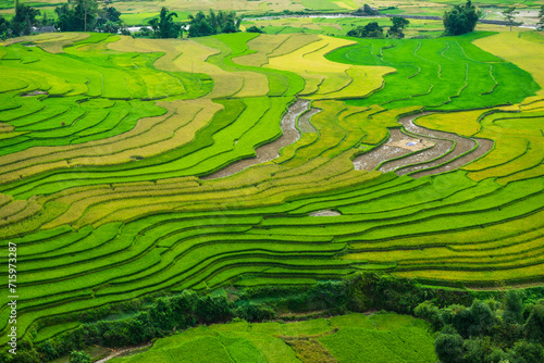 Rice ladder fields in Mu Cang Chai, Yen Bai Province, Vietnam. It is located in northern Vietnam and famous for its natural beauty. This location is linked to several other natural wonders, photo