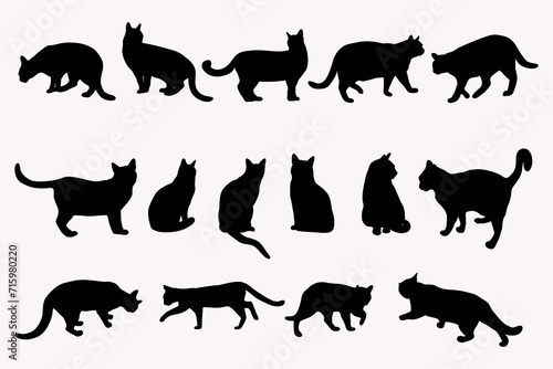 Cats silhouettes in different poses  sitting  walking  standing  isolated on white background. Black cat silhouette