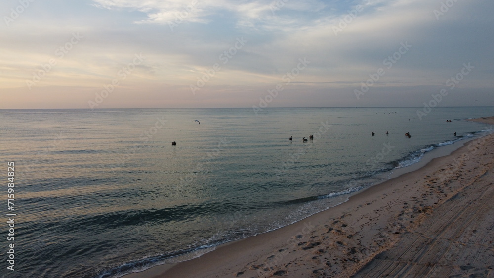 custom made wallpaper toronto digitalsunset on the beach