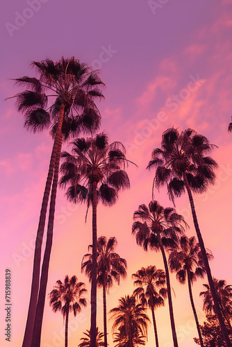 palm trees at sunset, palm trees under pink sky, generative ai