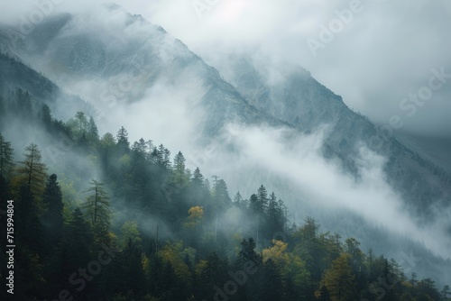 Misty Mountain With Trees in Foreground