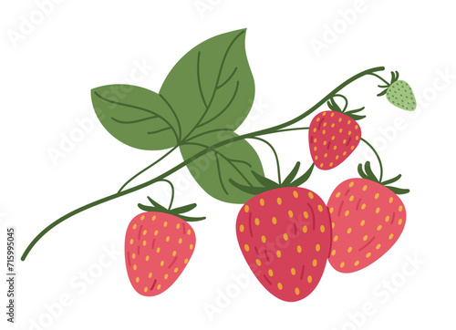 Hand drawn strawberries. Edible red berries for healthy nutrition, delicious forest strawberry branch flat vector illustration. Juicy strawberries