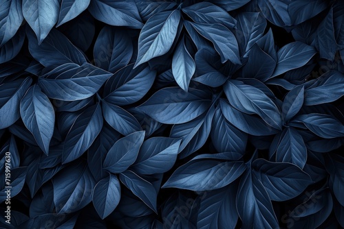 Blue Leaves on Wall