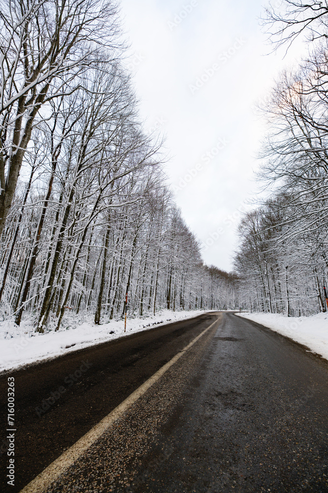 Snowy mountain roads. Road landscape in winter. Winter vacation concept. Road Leading Into Winter Mountain Landscape. Snowy mountain roads. Road landscape in winter. Winter vacation concept. Road Leading Into Winter Mountain Landscape.