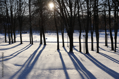 The Sunset in Kaunas Old Town Park In Winter