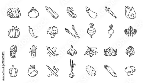 Raw vegetable line icons. Cauliflower, tomato, cucumber, eggplant and carrot, avocado and pumpkin, pepper and artichoke, beet, turnip, bean and garlic, kohlrabi, onion, potato outline vector pictogram