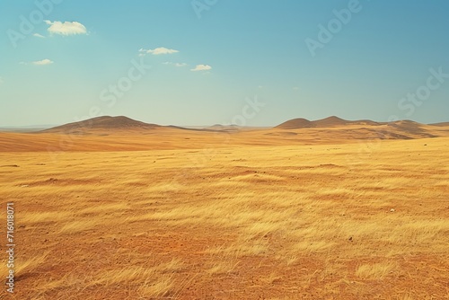 A serene and expansive landscape of rolling hills and endless sky, the golden grasses of the steppe stretch out in all directions, creating a breathtaking scene of untouched nature and wild beauty photo