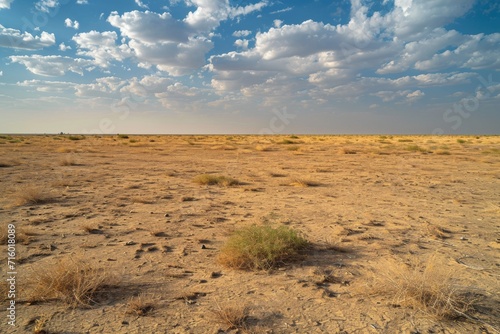 Under the vast blue sky, the arid steppe stretches endlessly, its golden grasses and scattered shrubs standing as resilient symbols of the harsh yet beautiful desert landscape