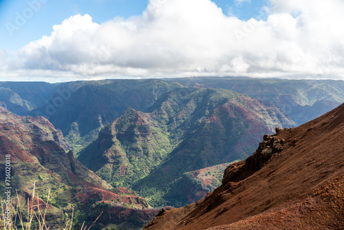 Waimea canyon in kauai, hawaii 