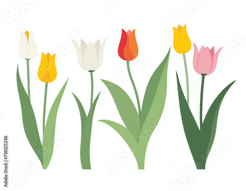  Illustration of tulips for decoration,greeting cards, posters, or social media