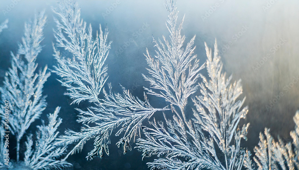 winter frost pattern on glass, a frozen wonderland of delicate ice crystals, creating a mesmerizing background texture winter frost pattern on glass, a frozen wonderland of delicate ice crystals, creating a mesmerizing background texture