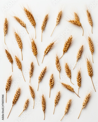 A bunch of wheat ears on a white background. Generative AI.