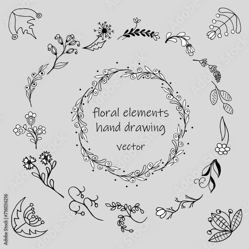 A set of floral elements, hand drawings. Isolated on gray background.