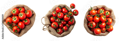 Top view of fresh red tomatoes in harvesting burlap bags over isolated transparent background