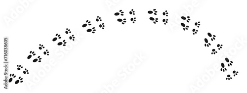 Bunny wet, mud or snow pawprints. Rabbit paw stamps. Trace of steps of running or walking hare or other wild animal isolated on white background. Easter concept. Vector graphic illustration