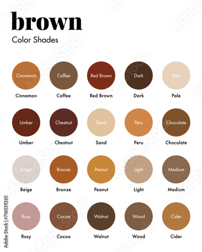 Palette of Brown Shades with Corresponding Names, Collection of Browns Color Swatches. Modern Minimal Design Template

