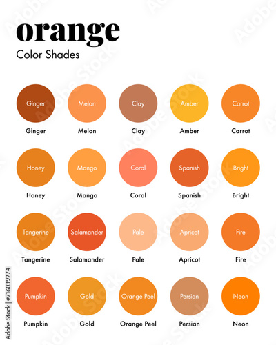 Palette of Orange Shades with Corresponding Names, Collection of Oranges Color Swatches. Modern Minimal Design Template
