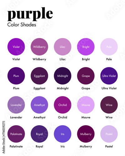 Palette of Purple Shades with Corresponding Names, Collection of Purples Color Swatches. Modern Minimal Design Template