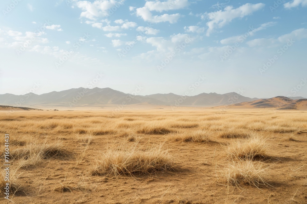 Nature's painted canvas, a dry grass field nestled among towering mountains in the rural steppe, where the sky and clouds play with the ecoregion's wild beauty Nature's painted canvas, a dry grass field nestled among towering mountains in the rural steppe, where the sky and clouds play with the ecoregion's wild beauty