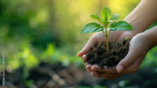 Planting and protecting trees to reduce global warming. The hands of children who protect trees