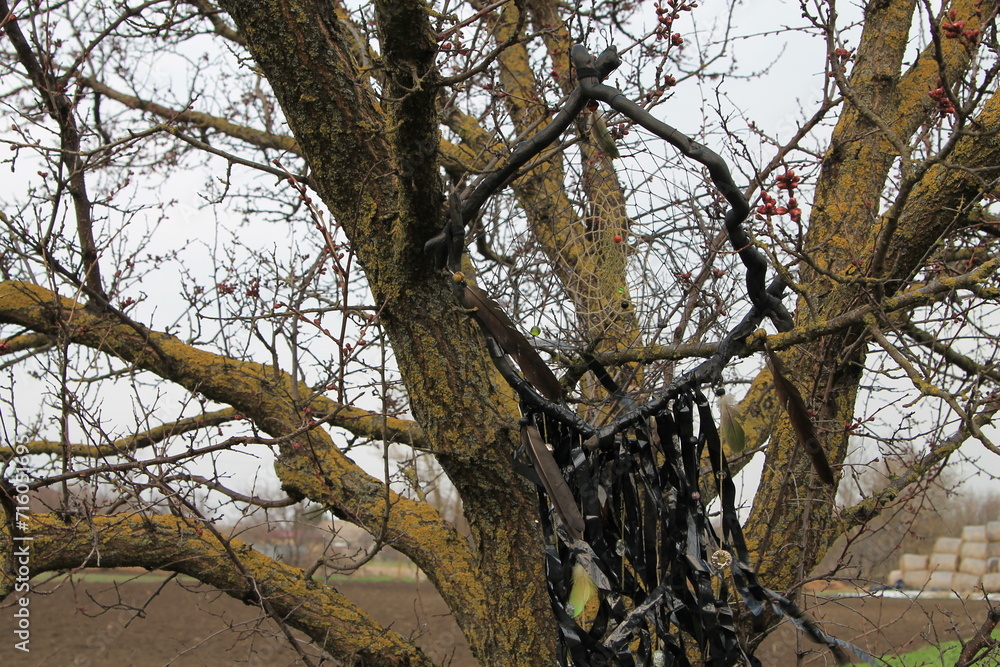 Dreamcatcher on a tree,natural background Dreamcatcher on a tree,natural background