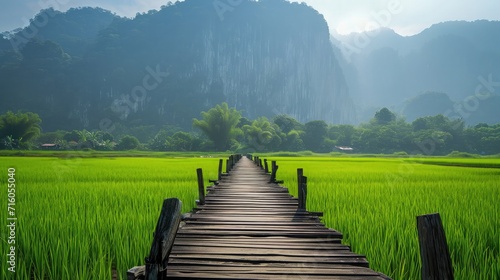 Landscape Wooden Bridge on Green Rice Field and Limestone Mountain Background photo