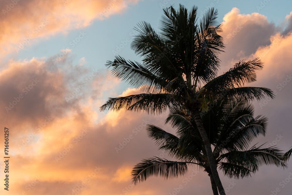 sunset on the beach 