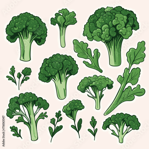 Set of Broccoli Rabe hand drawing isolated vector illustration
