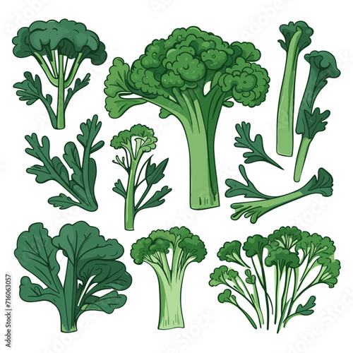 Set of Broccoli Rabe hand drawing isolated vector illustration
