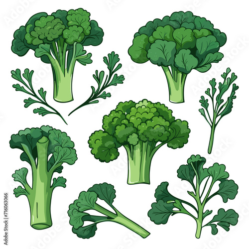 Set of Broccoli Rabe hand drawing isolated vector illustration