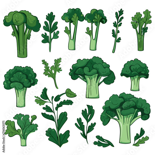 Set of Broccoli Rabe hand drawing isolated vector illustration