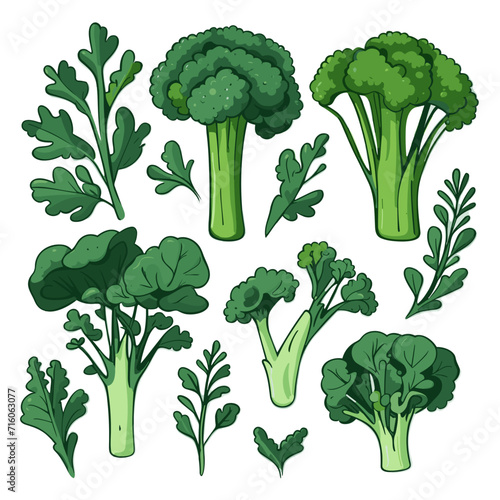 Set of Broccoli Rabe hand drawing isolated vector illustration