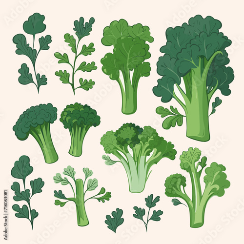 Set of Broccoli Rabe hand drawing isolated vector illustration
