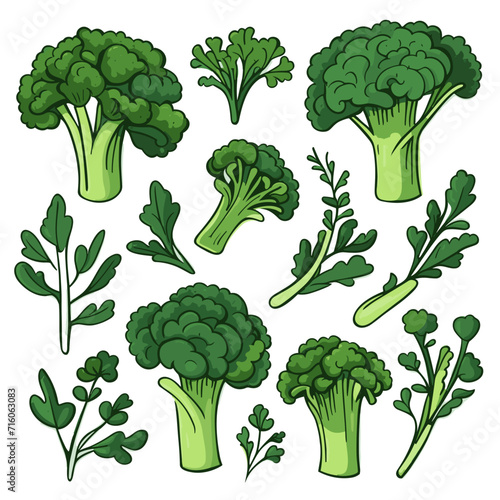 Set of Broccoli Rabe hand drawing isolated vector illustration