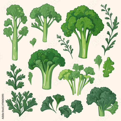 Set of Broccoli Rabe hand drawing isolated vector illustration