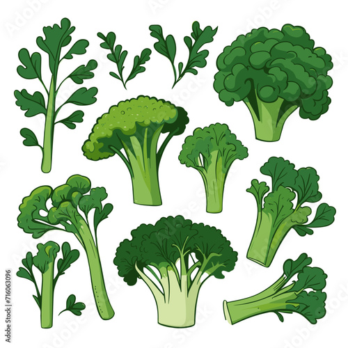 Set of Broccoli Rabe hand drawing isolated vector illustration
