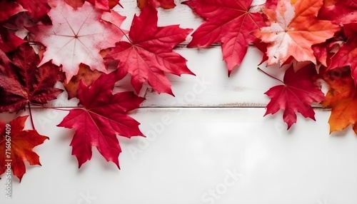 canadian day maple leaves on white wood background, space for text