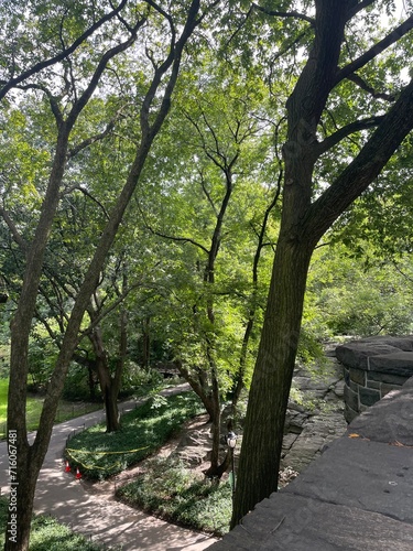 path in the park