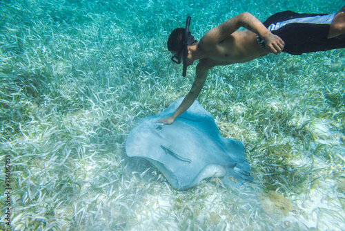 Local man snorkeling and touching a sting ray, Ambergris Caye, Belize photo