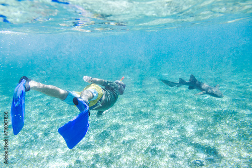 Man underwater snorkeling with a shark, Belize, Caribbean photo