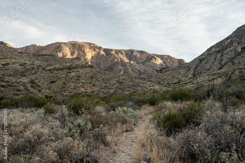 Blue Creek Trail Leads Into The Chisos Mountains © kellyvandellen